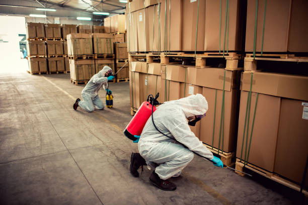 Best Residential Pest Control  in Carlisle, OH