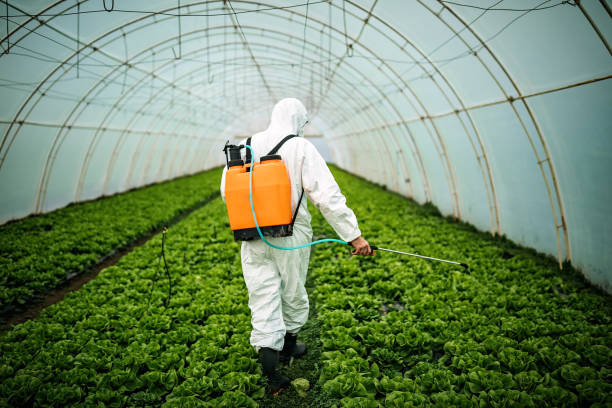Best Commercial Pest Control Services  in Carlisle, OH