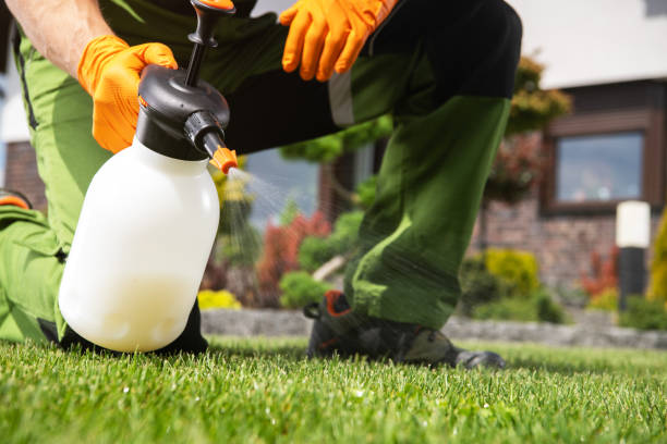 Best Best Pest Control Companies  in Carlisle, OH