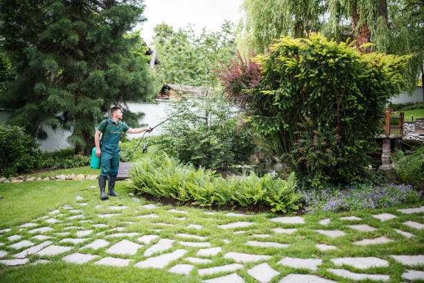 Best Wasp Removal Services  in Carlisle, OH