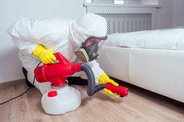 Best Mosquito Control Services  in Carlisle, OH