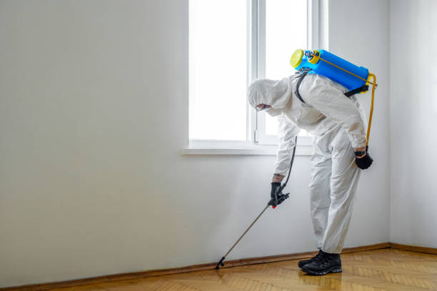 Best Pest Prevention Services  in Carlisle, OH