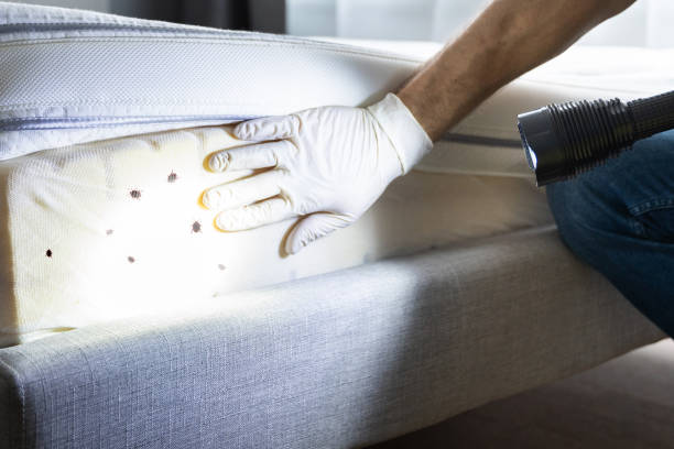 Best Best Pest Control Companies  in Carlisle, OH