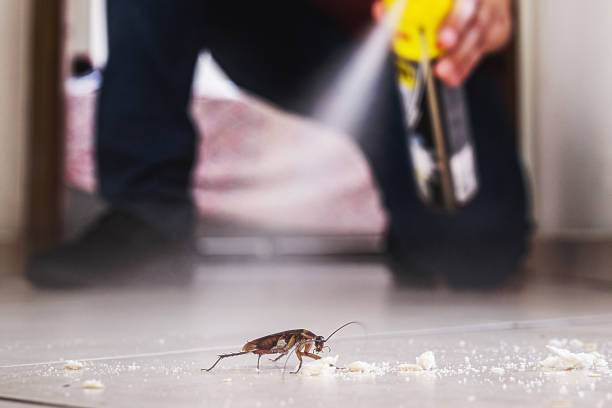 Best Cockroach Control Services  in Carlisle, OH