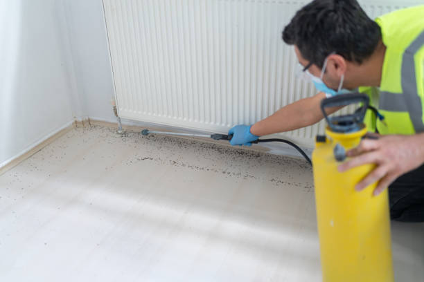 Best Bed Bug Extermination  in Carlisle, OH